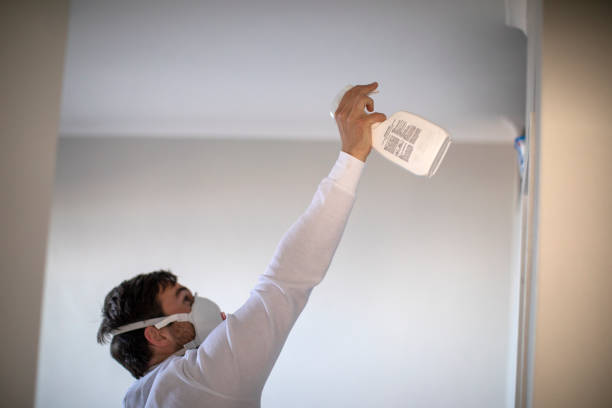 Best Mold Testing  in Salida, CO
