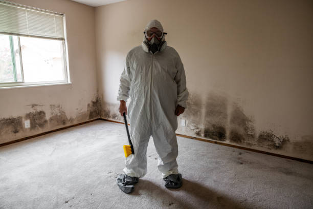 Best Mold Damage Repair  in Salida, CO