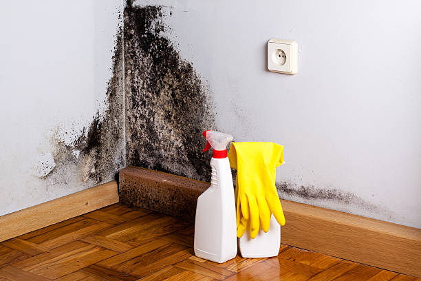 Water Damage Restoration in Salida, CO